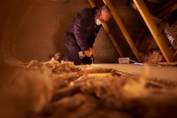 Best Insulation Installation Services in Viola, NY